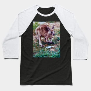 The Joey Baseball T-Shirt